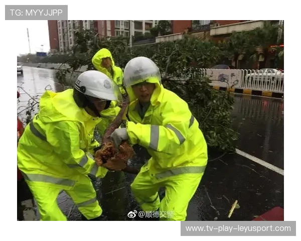 台风过后惠州海鲜市场活跃，惠州海滩潮汐表